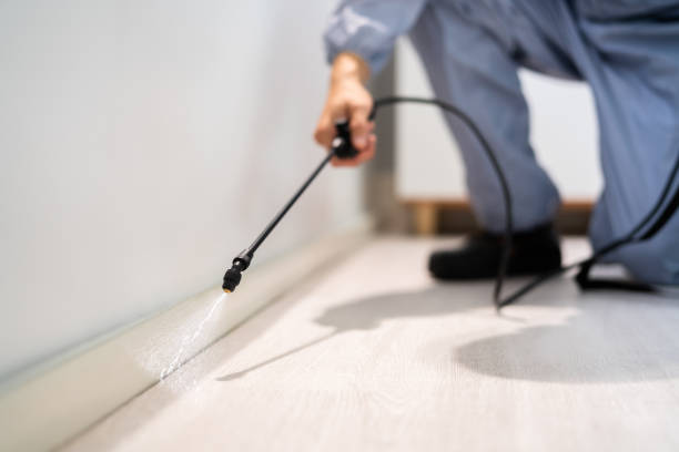 Bed Bug Pre-Treatment Preparation Assessment in Rheems