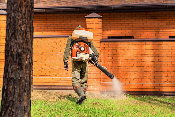 Bed Bug Clearance Verification and Documentation in Rheems